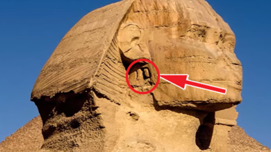 Photo of Secret Key Behind Sphinx’s Strange Ear – The Life on Earth Will Change When This Will Be Unlocked