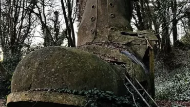 Photo of Old woman who lived in shoe nursery rhyme ‘proved real’ as boot house found in UK woods