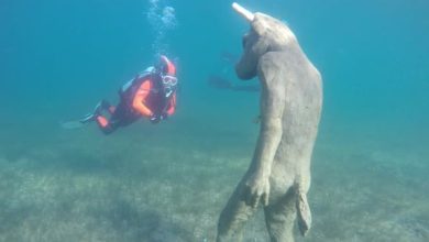 Photo of Massive Statue of Submerged Minotaur Found in Patagonia