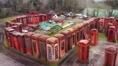 Photo of Incredible ‘graveyard’ of British red phone boxes tucked away next to Surrey railway line
