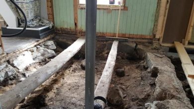 Photo of Norway Couple Find Viking Age Grave Under Their House