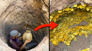 Photo of Strange “Treasure Mountain” 1 billion years old filled with gold, platinum and precious stones in Russia