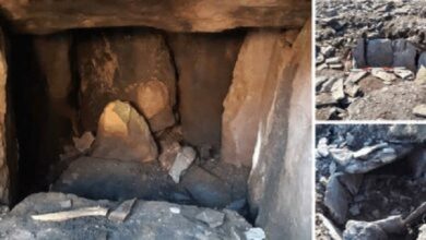 Photo of TOMB HIDDEN IN IRELAND FOR 4,000 YEARS IS FOUND ‘UNTOUCHED’ WITH HUMAN REMAINS INSIDE THAT COULD HOLD CLUES ABOUT PRE-HISTORICAL BURIAL RITUALS