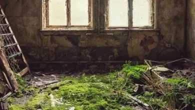 Photo of 5 Artists Capturing the Abandoned and Decay