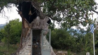 Photo of A Tranquil Retreat: The Chapel Inside an Olive Tree near Konitsa, Greece