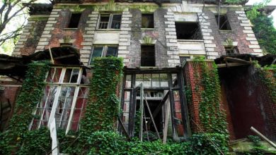 Photo of The Story Of North Brother Island, The Abandoned New York City Quarantine Site That No One’s Allowed To Visit