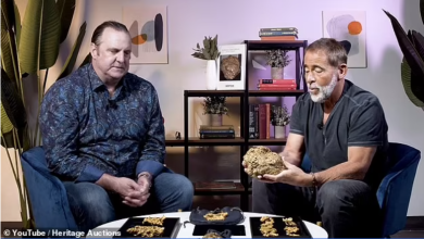 Photo of Treasure of the century: A man driving a bulldozer luckily discovered a giant 21-pound gold nugget as big as a child’s head. 100 years later ‘Rush’ is for sale for $1 million