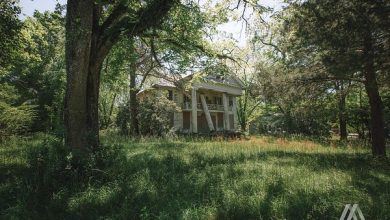 Photo of Allan Lucy House-Alabama.