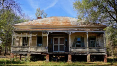 Photo of Abandoned c. 1870 McLendon Alabama Home Sits In Limbo