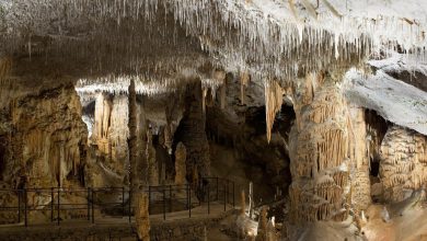 Photo of Postojna Cave. The most visited cave in Europe