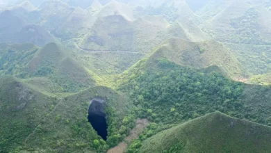 Photo of Explorers discovered a 630-feet-deep sinkhole containing a massive ancient forest