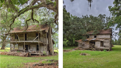 Photo of Florida Farmhouse Held Stories Within its Walls