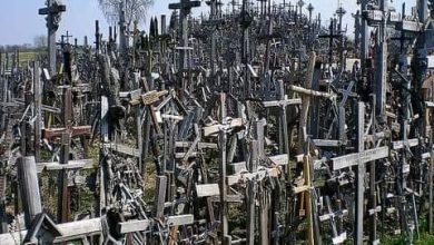 Photo of Thousands of Crosses Cover This Eerie Hill in Europe