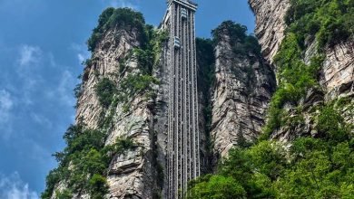Photo of World’s tallest outdoor elevator offers views over ‘Avatar’ landscape