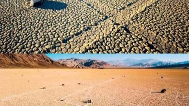 Photo of What moves the sailing stones of Death Valley?