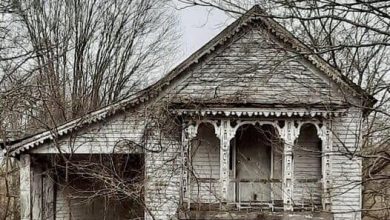 Photo of Time-Worn Elegance: Unveiling the Enchanting Abandonment of Halifax Town’s Forgotten Residence in North Carolina
