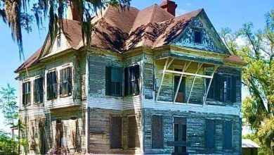 Photo of Abandoned WASDEN HOUSE, Brooks County, Georgia.