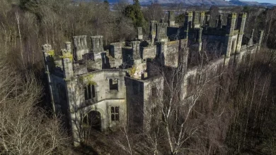 Photo of The massive abandoned ‘haunted’ mansion being taken over by nature