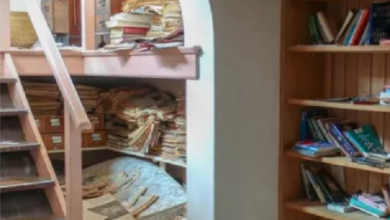 Photo of Man Finds Large Library Filled With Books In ‘Abandoned’ Mansion’s Ceiling