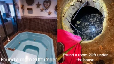Photo of Couple Renovate Hot Tub—Find Secret Room With Bolted Door Hidden 20ft Below