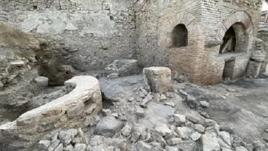 Photo of Prison Bakery Found at Pompeii