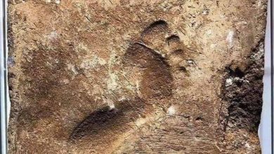 Photo of This footprint captures the moment, over four thousand years ago..
