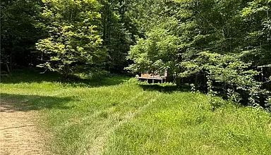 Photo of Over 60 Acres of Untouched Land with Cabin – $75,000