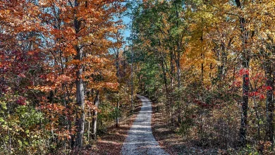 Photo of Appalachian Foothills Oasis on 14.96 Acres – 3 Beds, 2 Baths, $100K